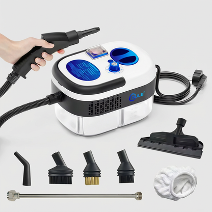Thenexozen™ Steam Sanitizer